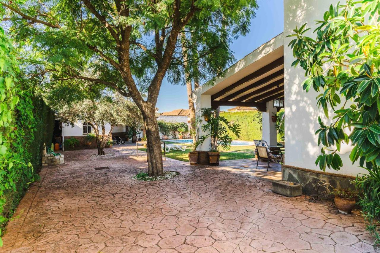 Chalet El Santiscal Arcos de la Frontera Kültér fotó